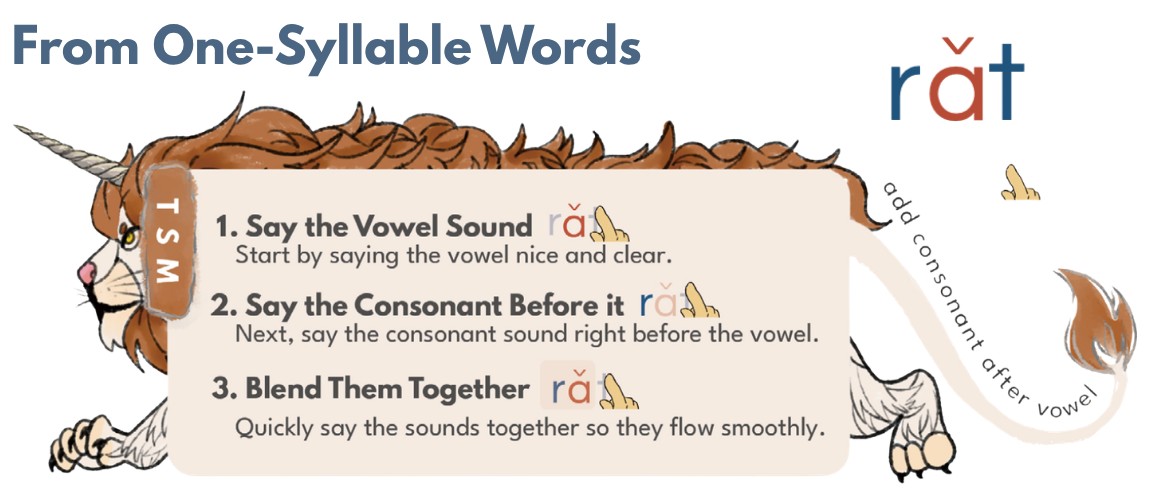 The three steps for reading a word.
